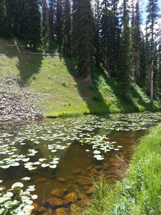 Yellowstone national Park