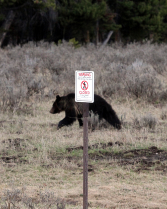 Yellowstone National Park