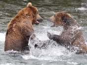 Katmai National Park