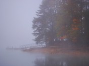 Daniel Boone National Forest