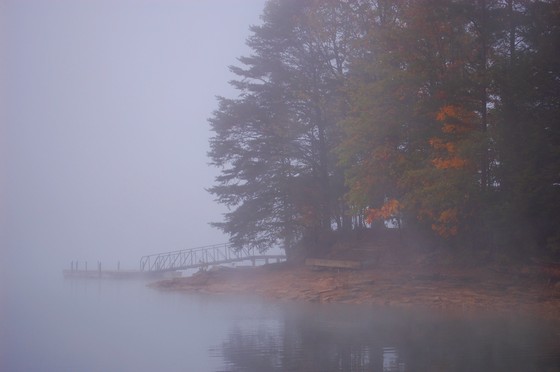 Daniel Boone National Forest