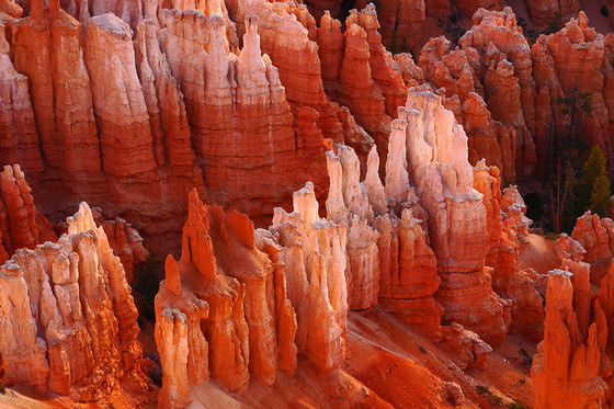Bryce Canyon National Park