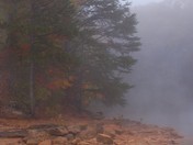 Daniel Boone National Forest