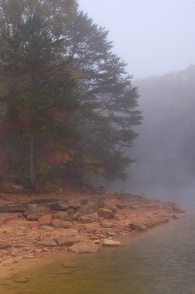 Daniel Boone National Forest