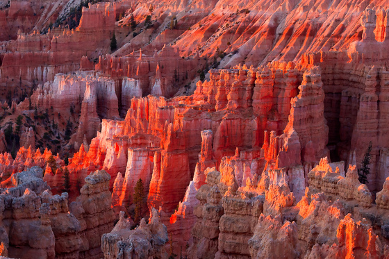 Bryce Canyon National Park