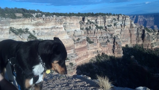 Grand Canyon