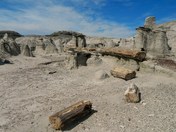 Bisti/ De-Na-Zin Wilderness
