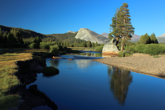 Yosemite National Park