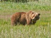 Lake Clark National Park