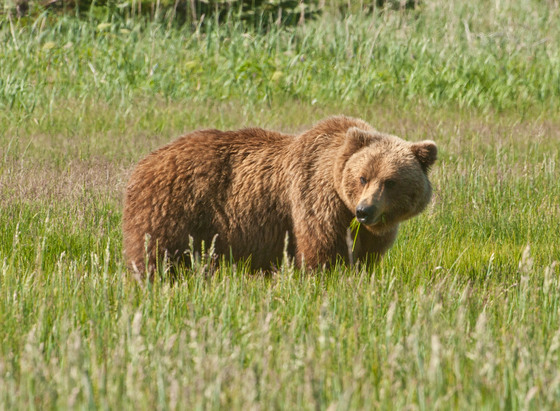 Lake Clark National Park