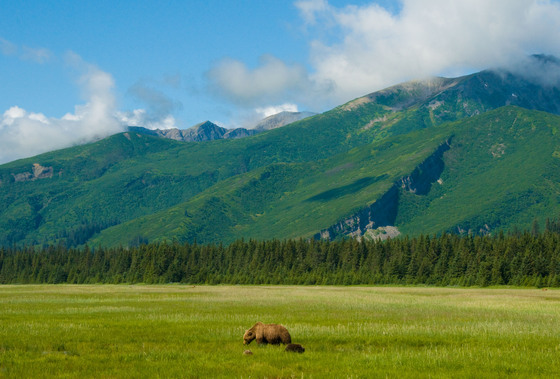 Lake Clark National Park