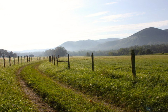 Smokey mountains/ cades cove