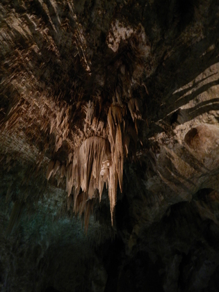 Carlsbad Caverns National Park
