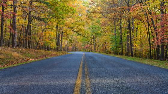 Blue Ridge Parkway