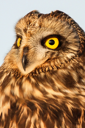 Ridgefield Wildlife Refuge
