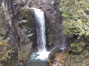 Mount Rainer National Park