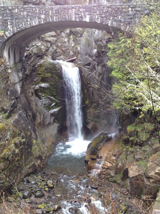Mount Rainer National Park