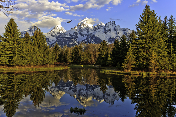 Grand Teton National Park