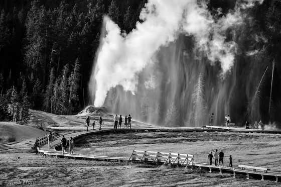 Yellowstone National Park