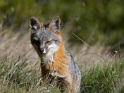 Point Reyes National Seashore