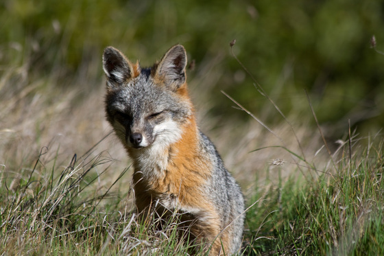 Point Reyes National Seashore