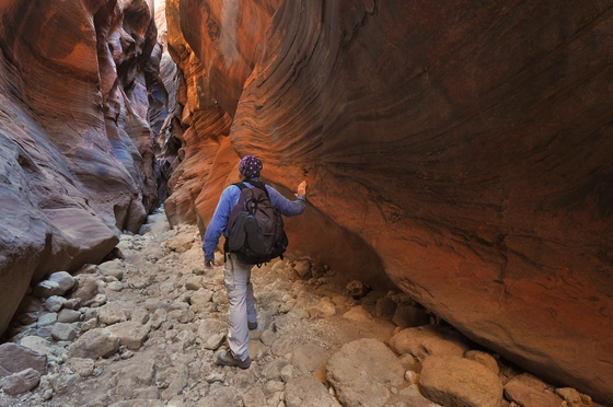 Paria Canyon-Vermilion Cliffs Wilderness