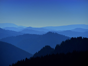 Mount Rainier National Park