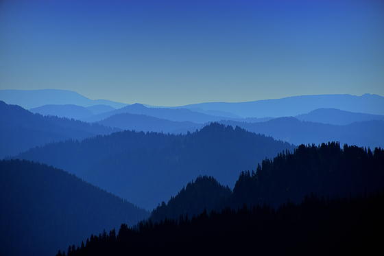 Mount Rainier National Park