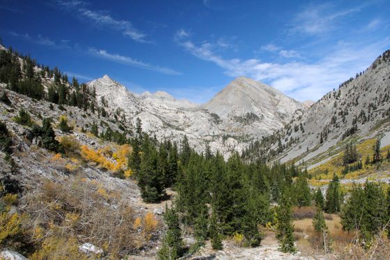 King's Canyon National Park