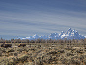 Teton National Park