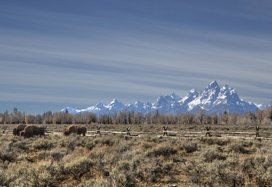 Teton National Park