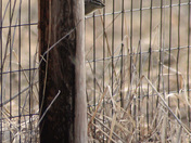 Turnbull National Wildlife Refuge