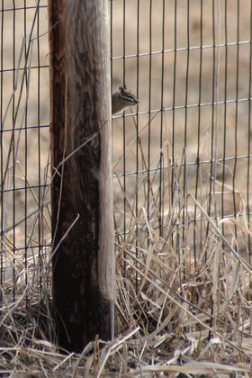 Turnbull National Wildlife Refuge