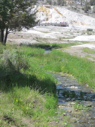 Yellowstone National Park
