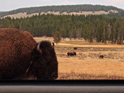 Yellowstone National Park 