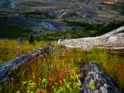 Mount St Helens National Volcanic Monument