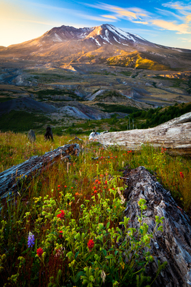 Mount St Helens National Volcanic Monument