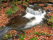 Great Smoky Mountains National Park