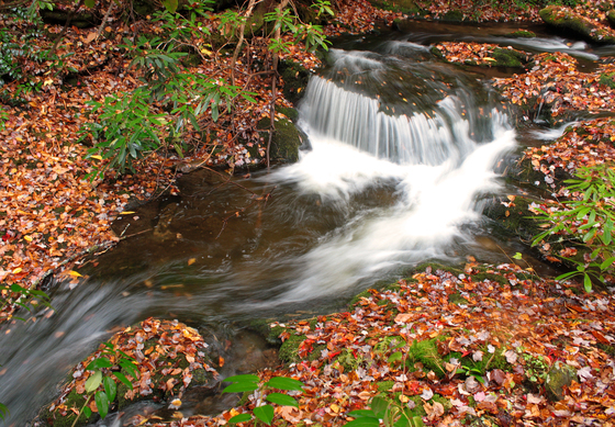 Great Smoky Mountains National Park