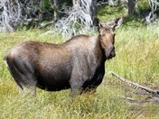 Glacier National Park