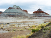 Petrified Forest National Park