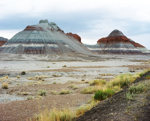 Petrified Forest National Park