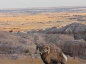 Badlands National Park