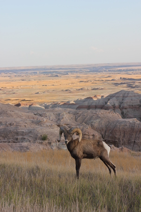 Badlands National Park