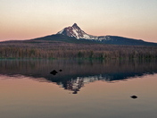 Willamette National Forest