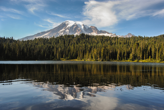 Mt Rainier National Park