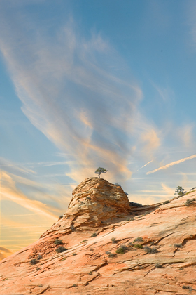 Zion National Park