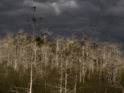 Everglades National Park