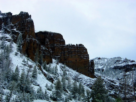 Shoshone National Forest