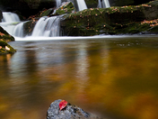 Great Smoky Mountains National Park